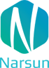 NARSUN logo